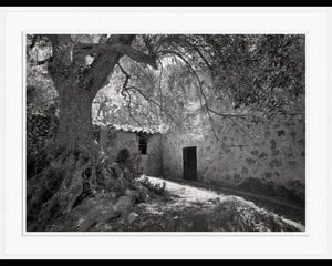 Black–Widow Slideshow-Black -and- white