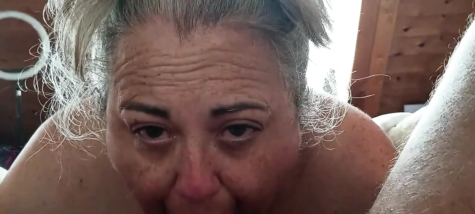 Morning Wood in the Redwoods