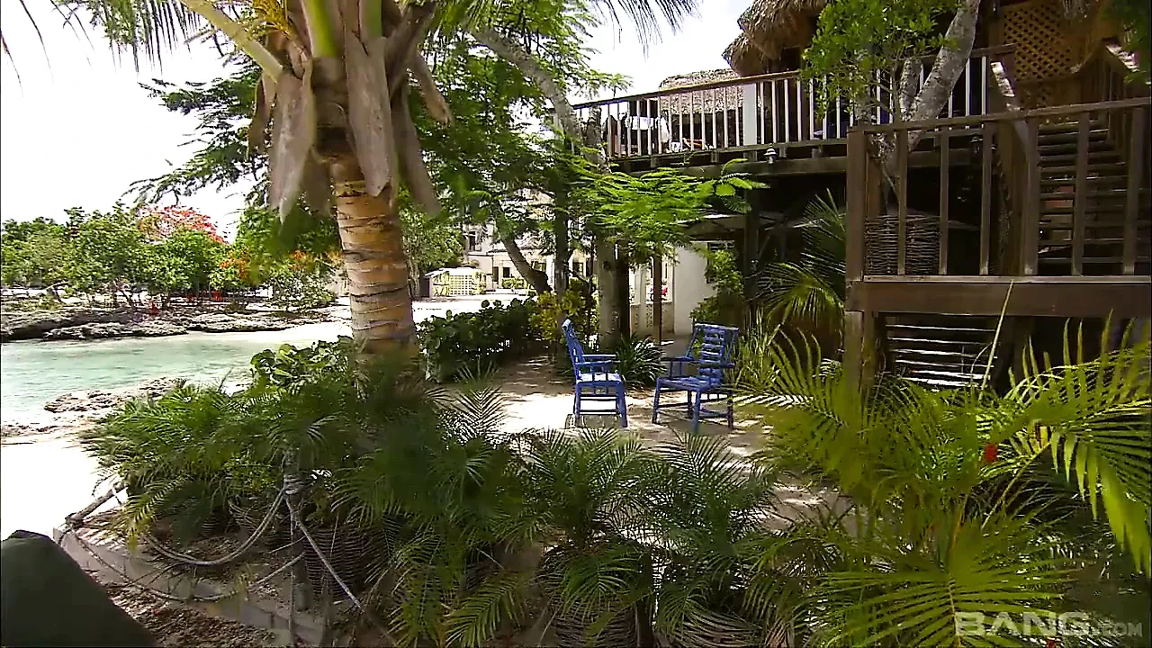 Sexual Revenge In The Tropics