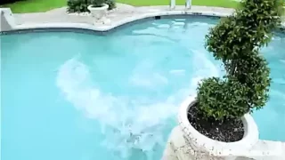 Big Tit BBW Kacey Parker Pays in Pool and Fucks Latin Help