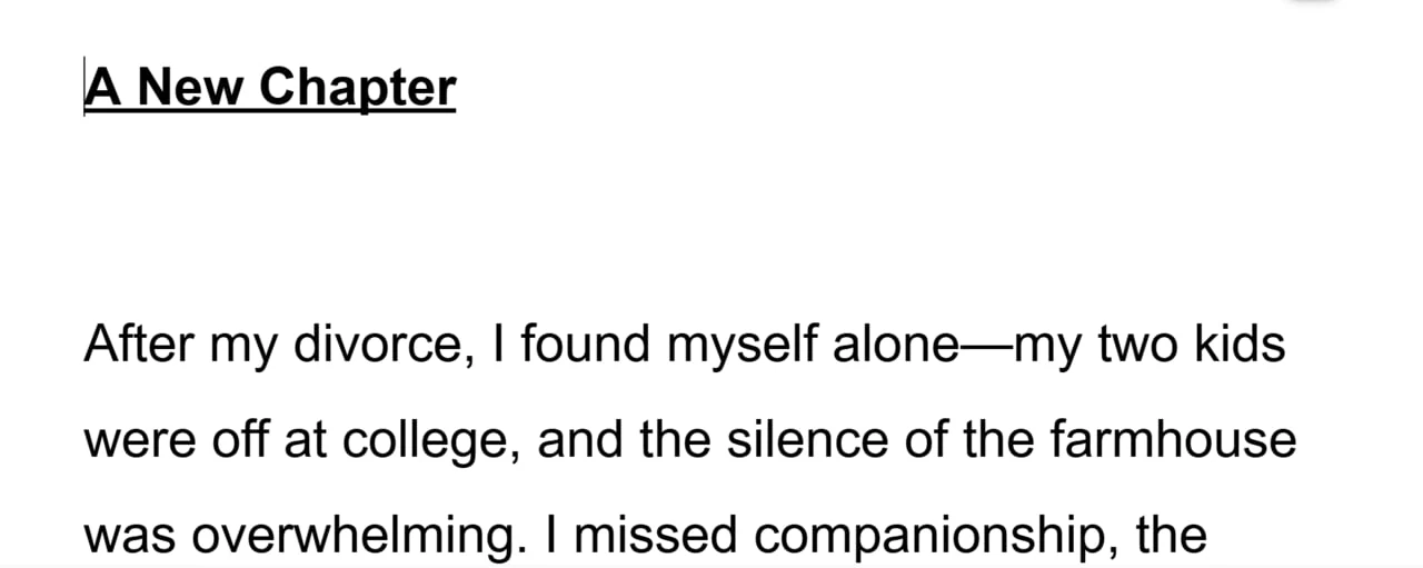 After my divorce, I found myself alone, and the silence of the farmhouse was overwhelming.