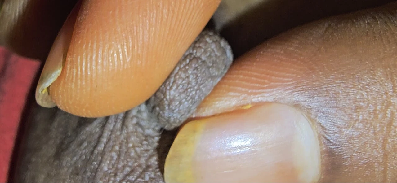 Lisha Bhabhi’s sexy ass and pussy