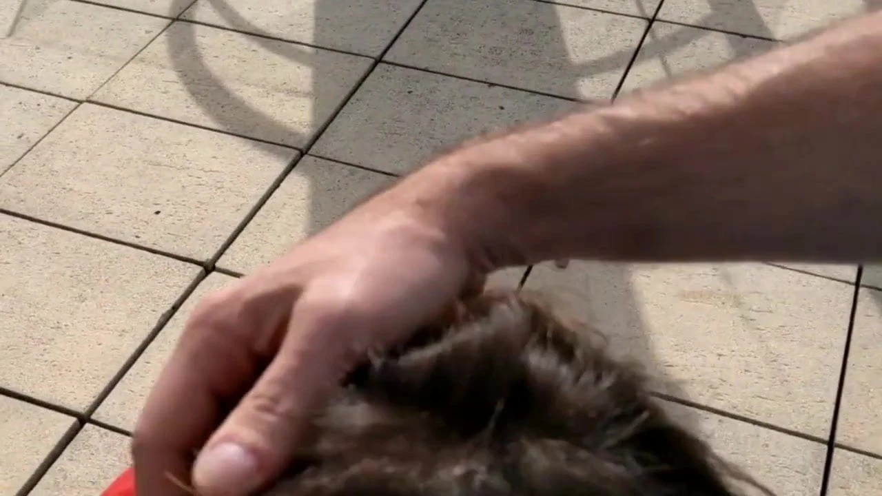 Badante ucraina sega il cazzo e si fa sborrare sulle tette