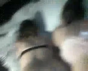 big butt white  bitches fucced