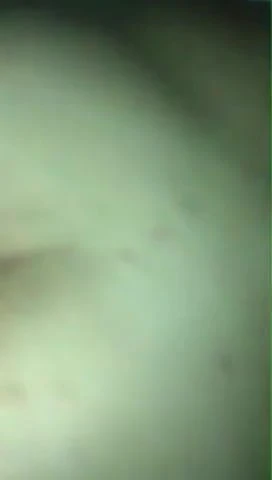 wife eygpt in sahal el shmaily