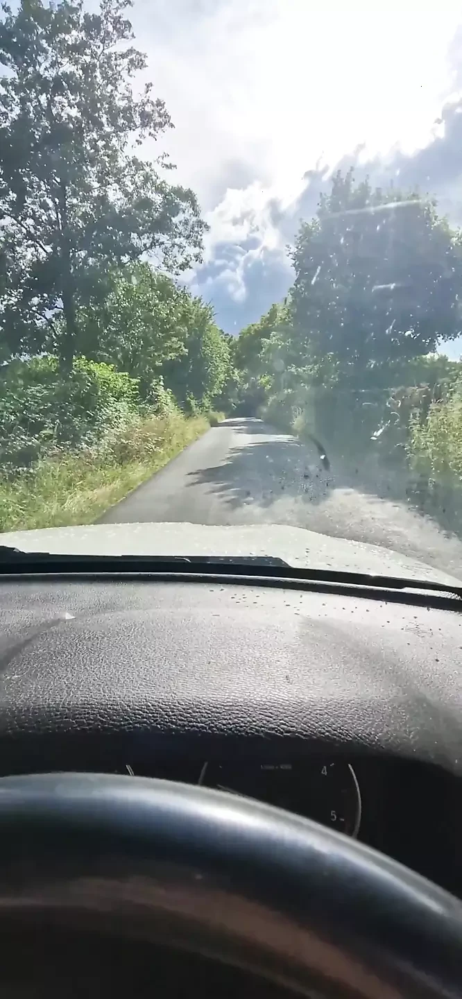 Sex in the Car with a Beautiful, Sexy Stranger