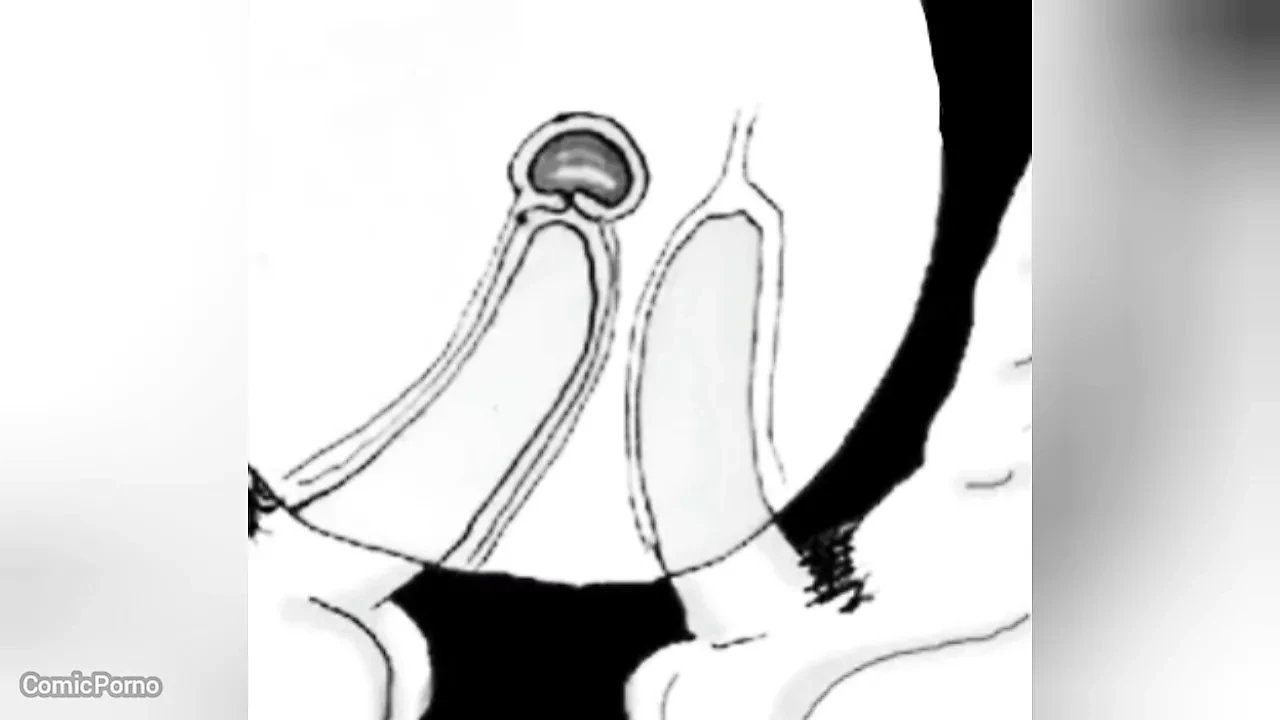 I cum in your ass so I don’t get pregnant – comic boru sumi