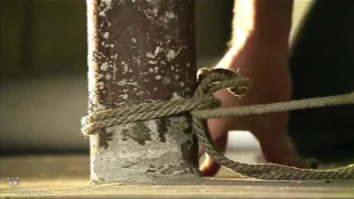 Daisy Duxe between the poles