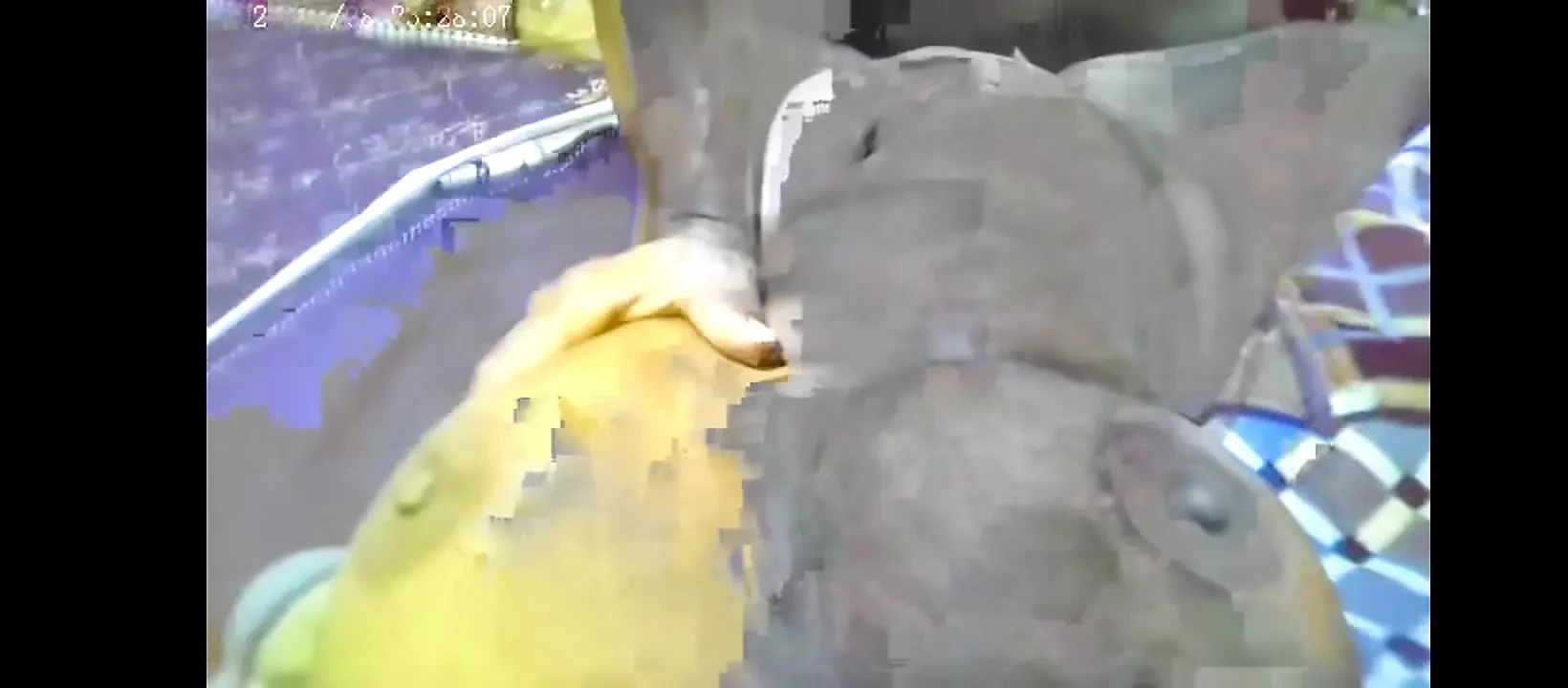 Tamil Desi hot girl friend beautiful fuked