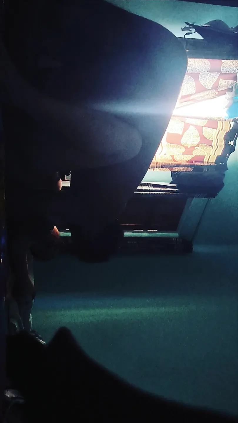 fucking friend after making a class project