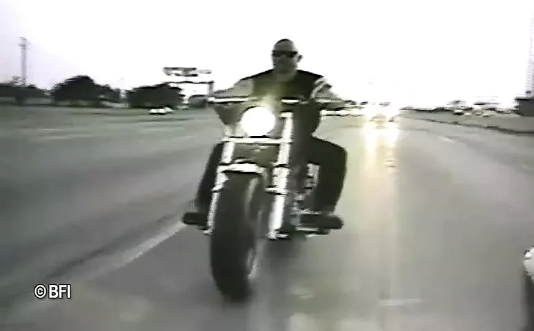 The art of bondage 4 -DVD-