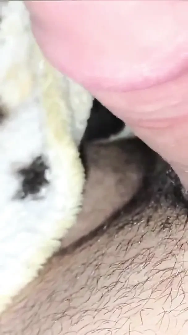 Arab Real First Time Anal Amateur Homemade Couple Fuck My Wife Hard