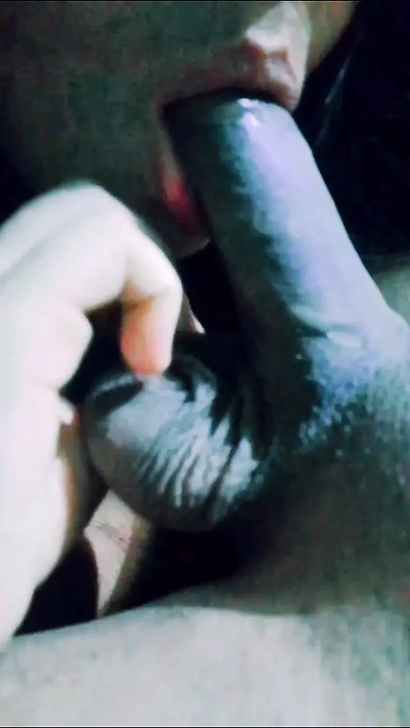 Gf sucking black cock