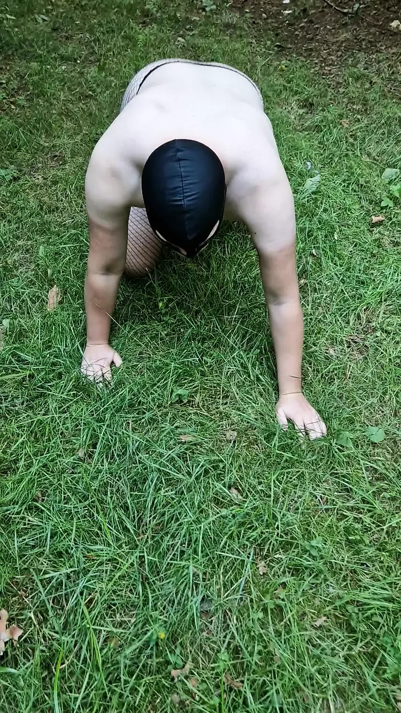 Male bitch in fishnets learns to fetch PL