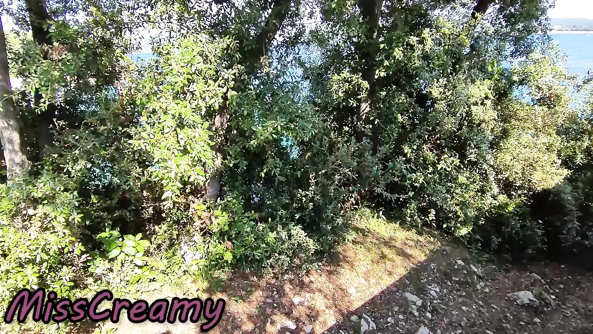 Dick Flash! We Got Caught! Teacher Blowjob Nude at the Sea (Cum In Mouth)! – MissCreamy