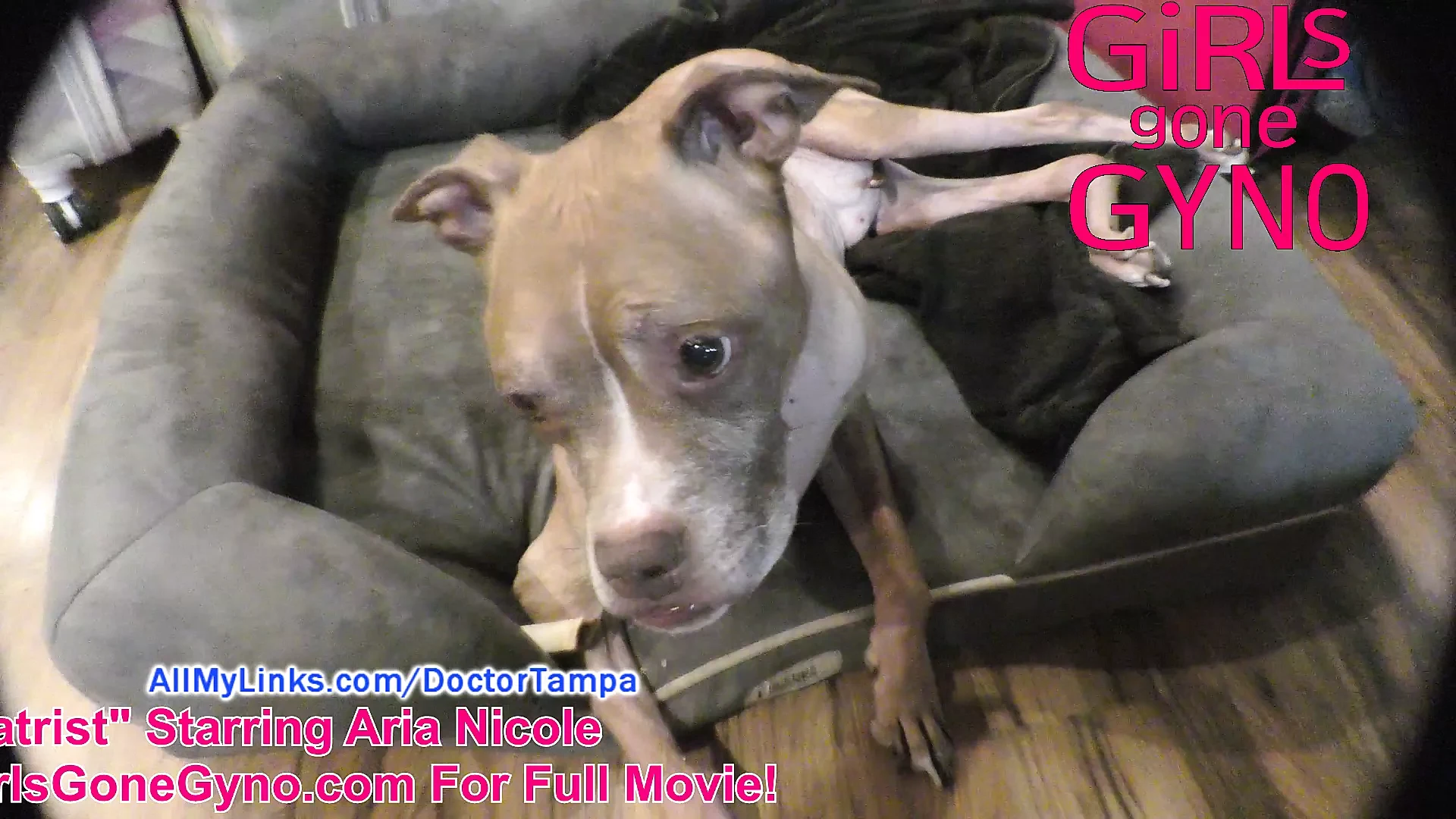 Sfw Non-Nude Bts From Aria Nicole’s The Perverted Podiatrist, Explanations And Celebrations, At Girlsgonegyno.Com