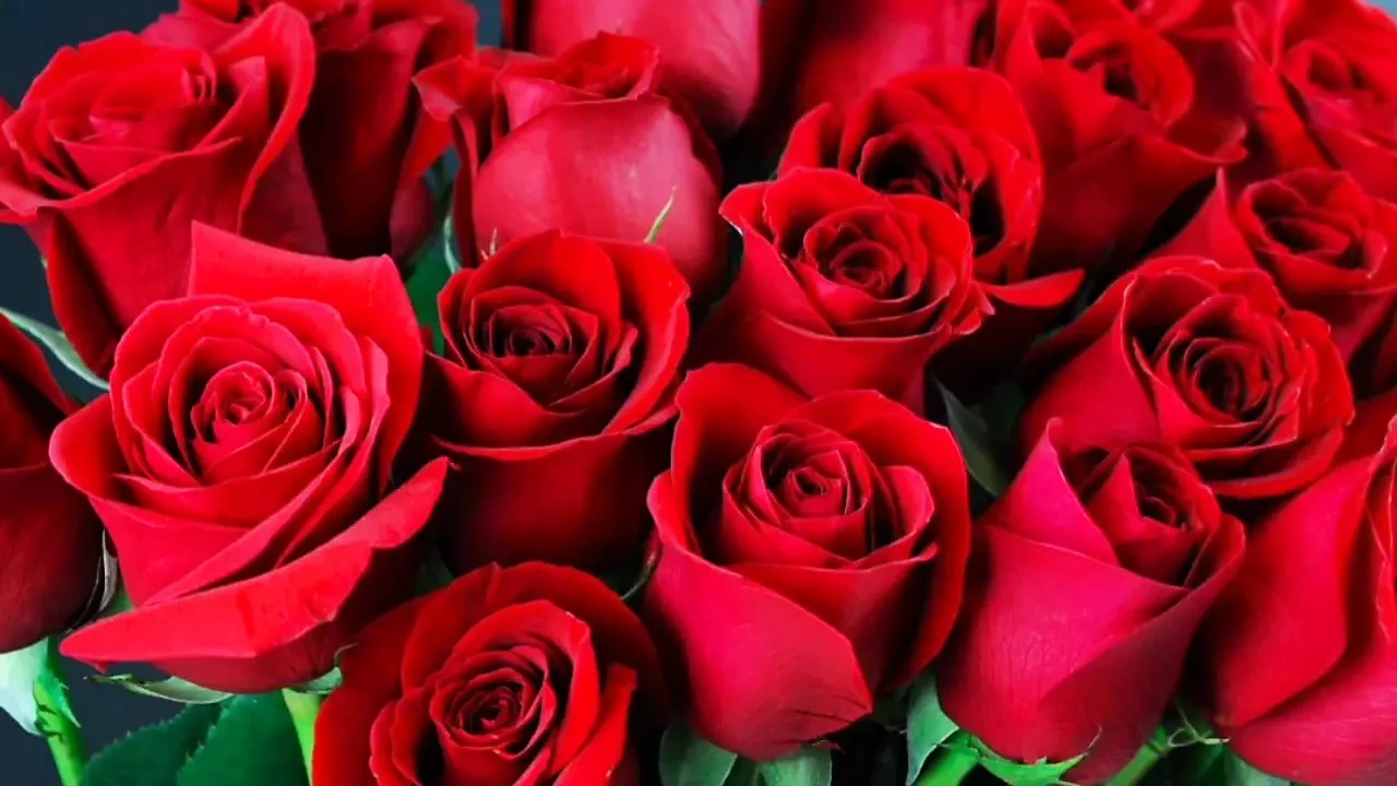 Bangla choti golpo full story in Bangla full  choti golpo beautiful mature saree chachi cheating hasband full story in Bangla au