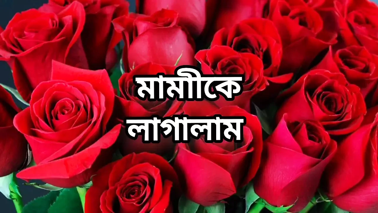 Bangla choto golpo beautiful mature saree chachi new sex story bangla choti golpo