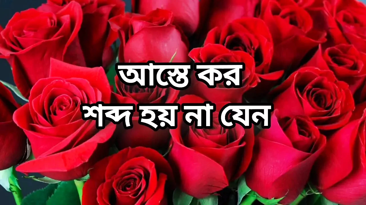 bangla choti golpo full story in Bangla audio  golpo beautiful mature saree chachi Sadia cheating hasband full story in Bangla a