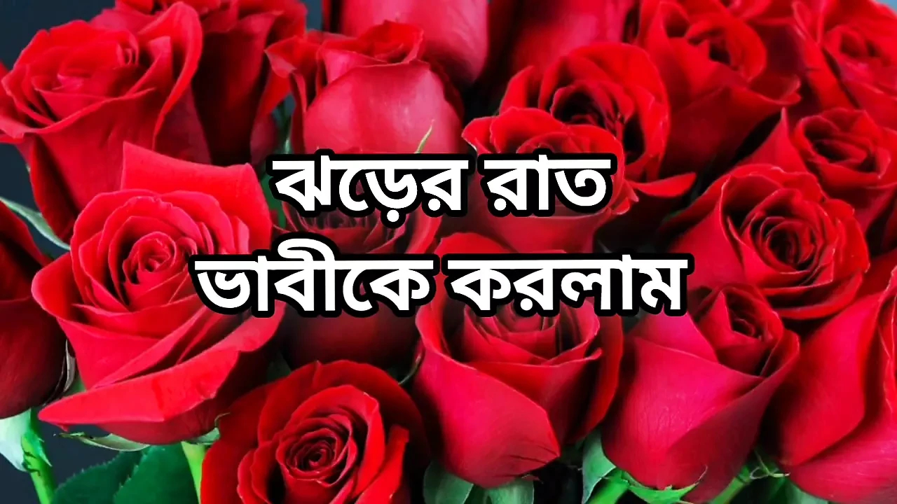 bangla choti golpo full story in Bangla   golpo beautiful mature saree chachi Sadia cheing hasband full story in Bangla audio