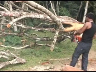 Daniela Perdida No Mato#