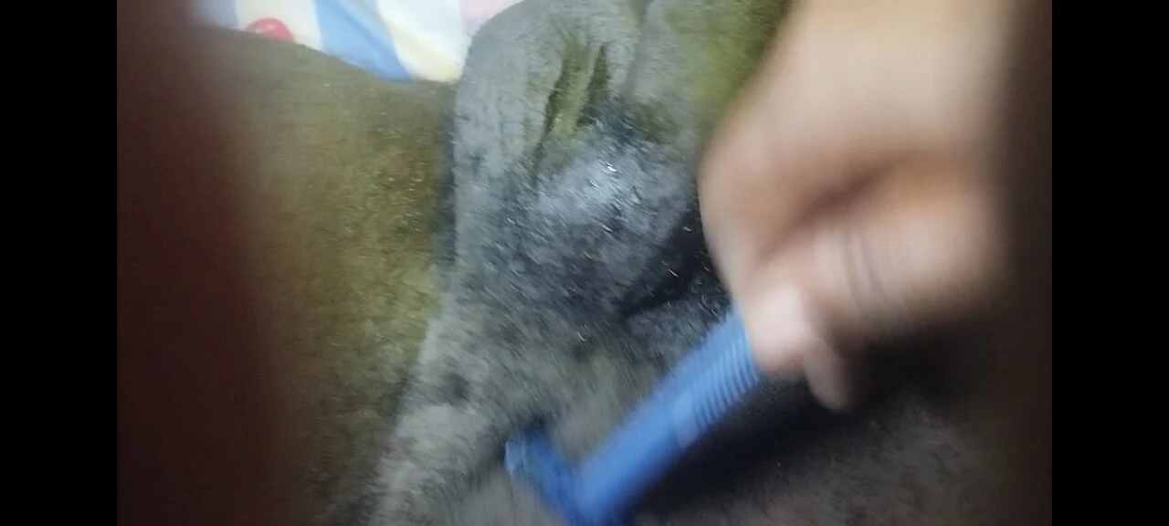 The shavings of a couple by wife BigApostrophe68 on Saturday