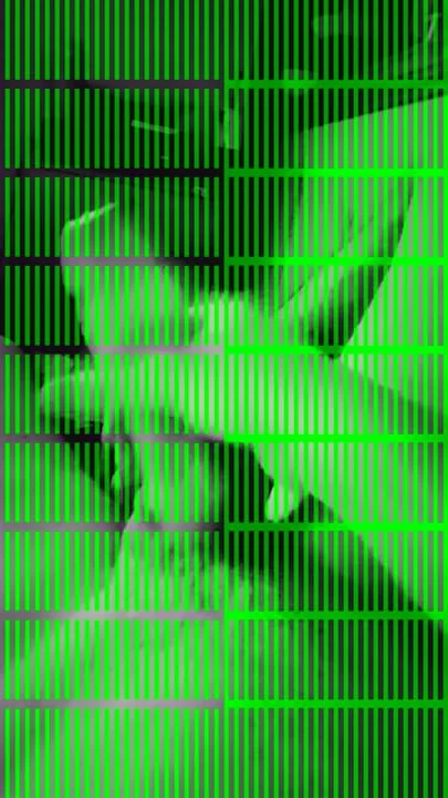 I would love to be in the porn video