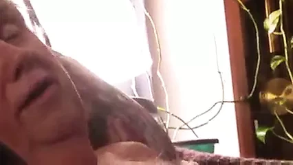 can I do this to you?