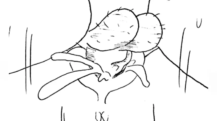 Enjoy every thrust that goes into her tight pussy