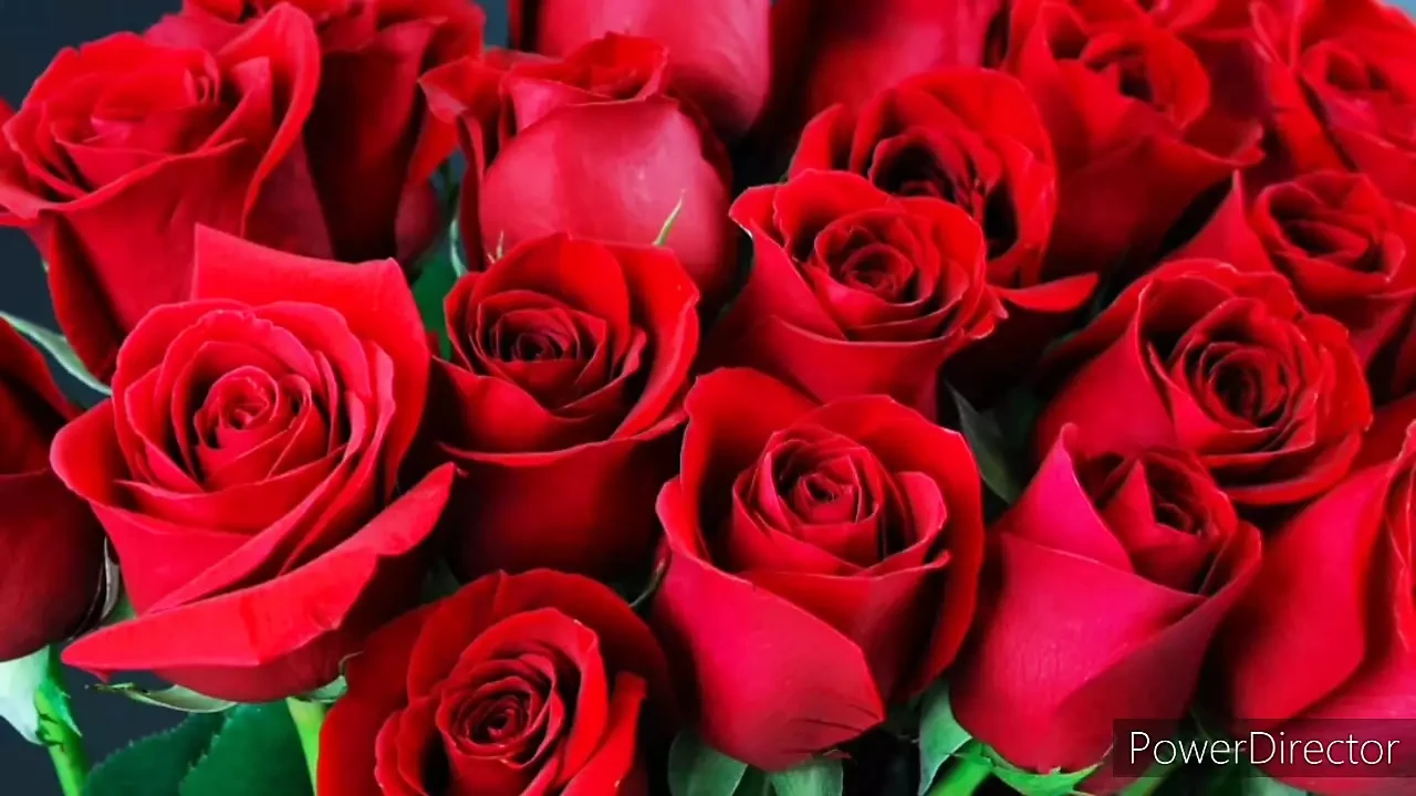 Bangla choti golpo hot Bangladeshi chachi cheating fuck by neighbour  hot story