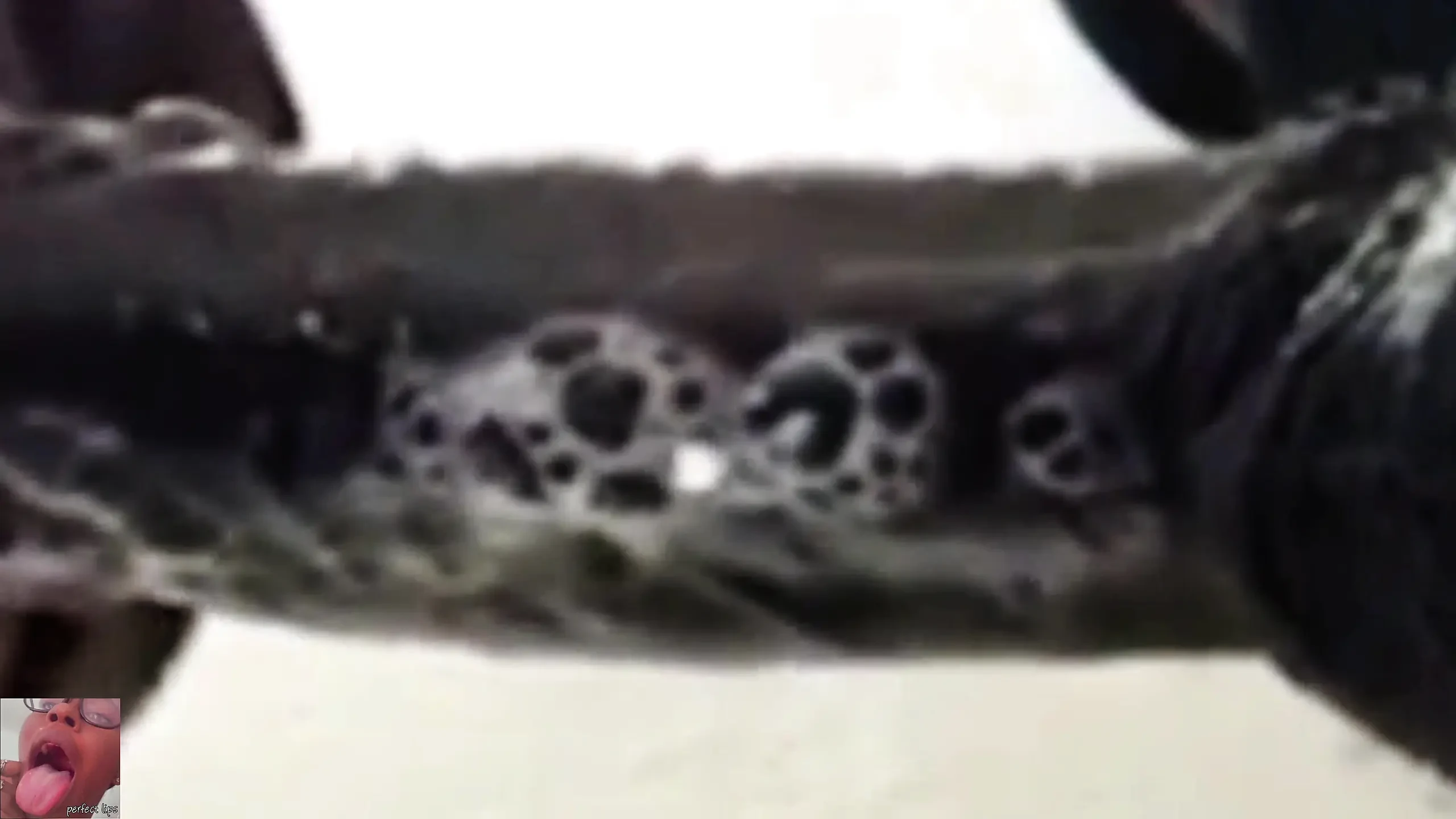 Best CIM blowjob ever