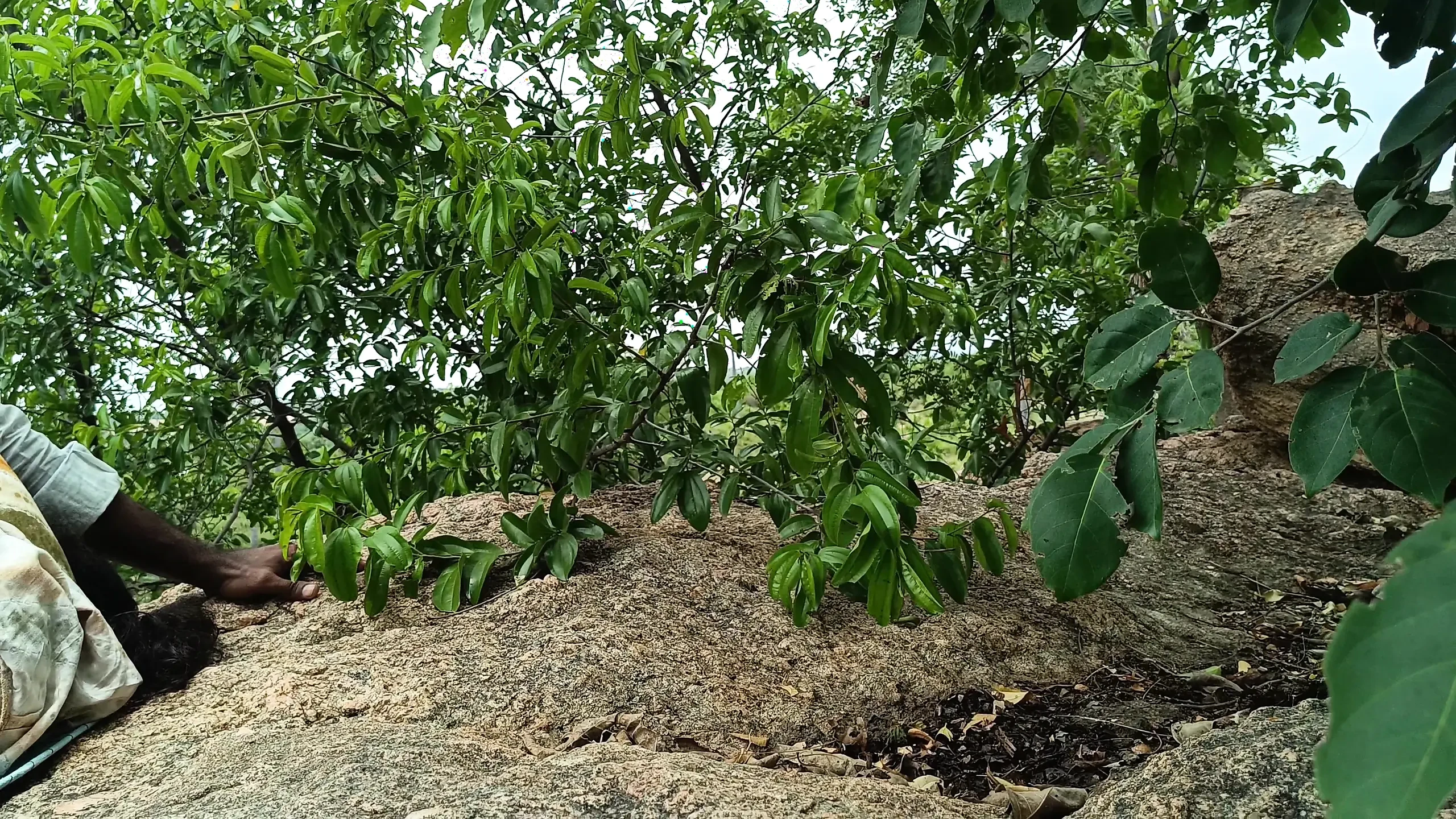 Outdoor fucking with step sister