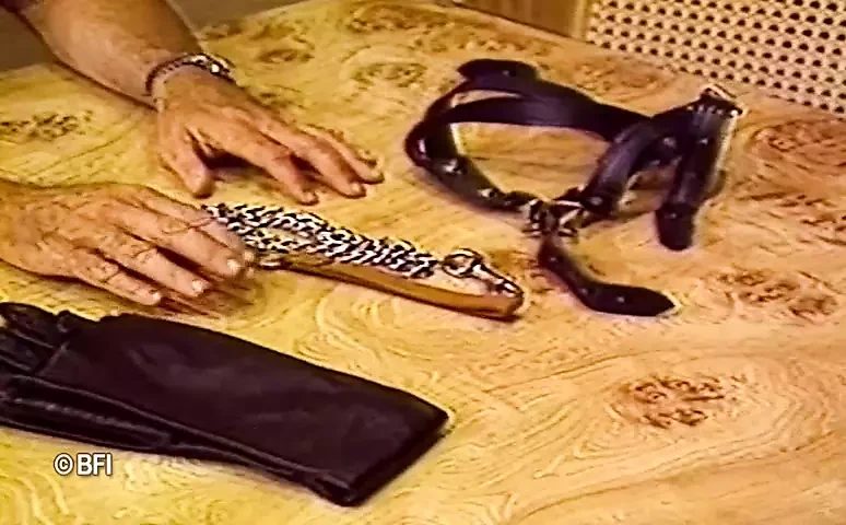 The training of Sharon 3