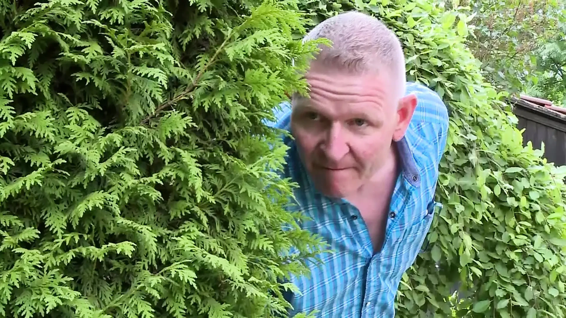 Outdoor! German Teenagers in Fields and Meadows.