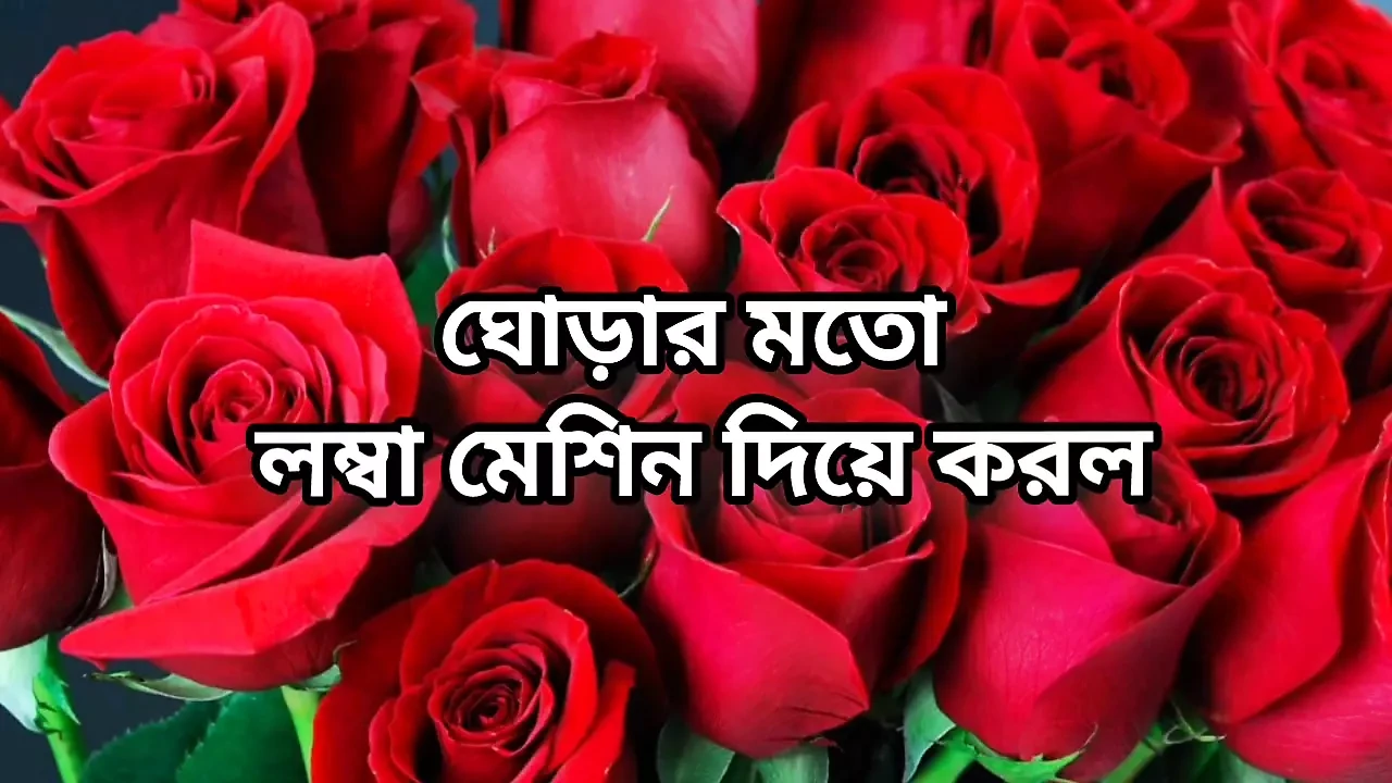 Bangla choto golpo new hot romantic Bangla choti full story in Bangla audio choto golpo