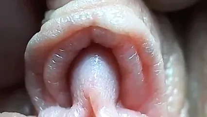 Clitoris close-up