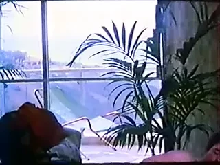 Education to submission (French)