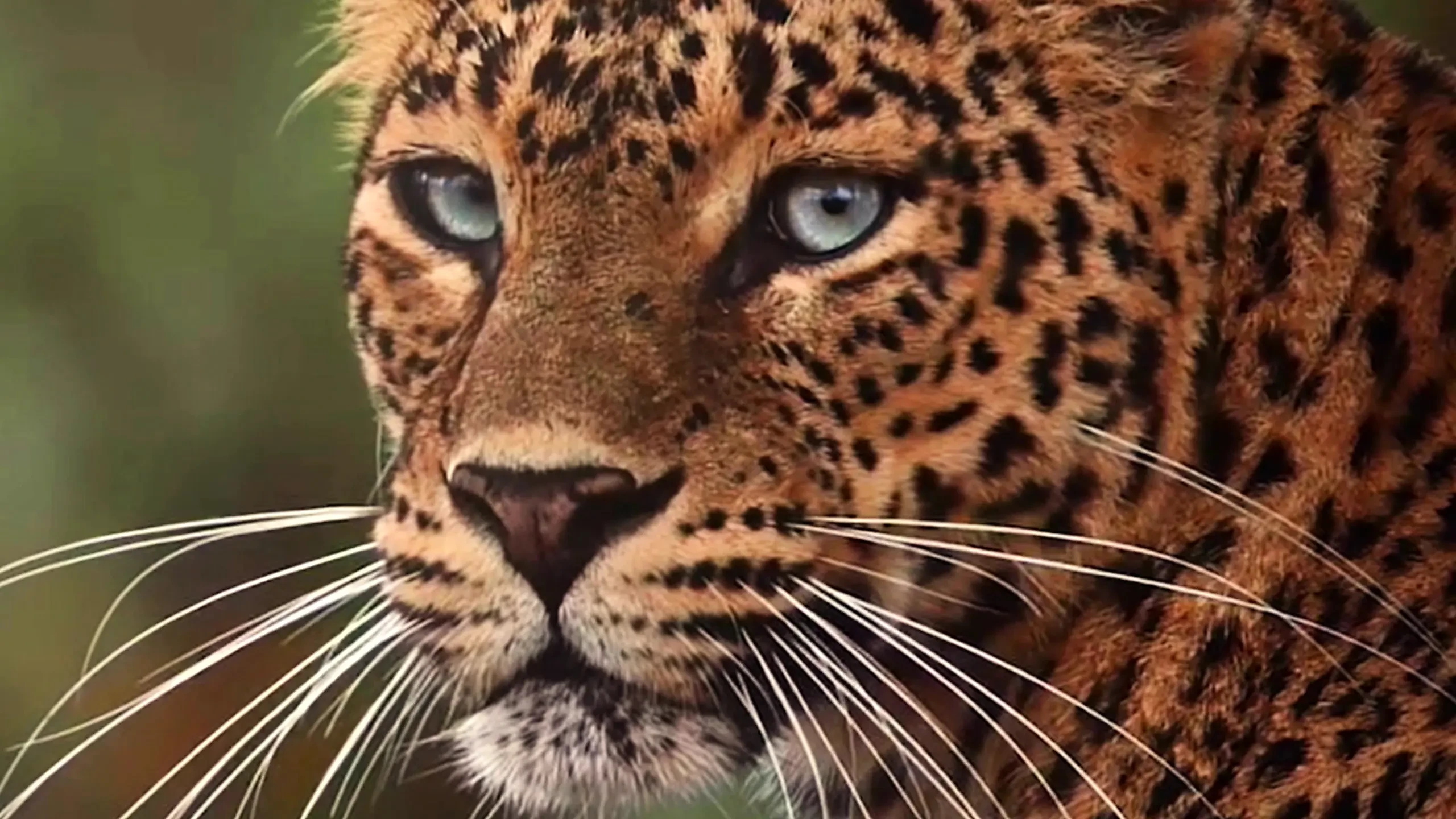 Let the Countdown Begin… Next Model Teaser