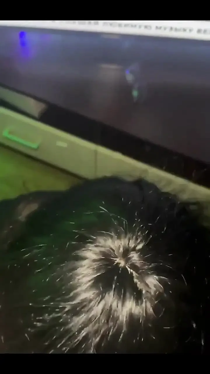 Hot Encounter with a Young Boy Hot Blowjob and Orgasm and Squirt