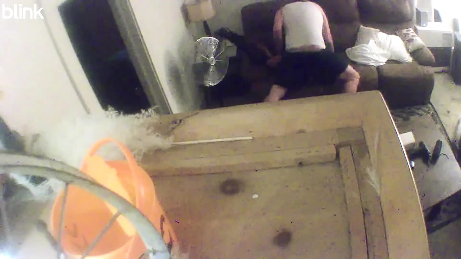 Cheating Wife Caught with Delivery Driver