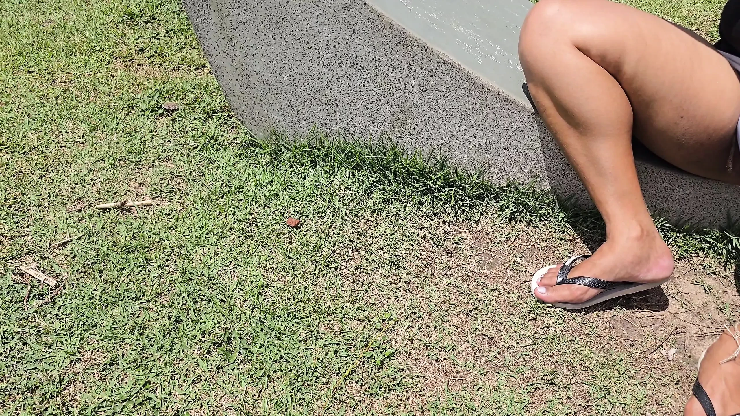 Butt and cameltoe displayed