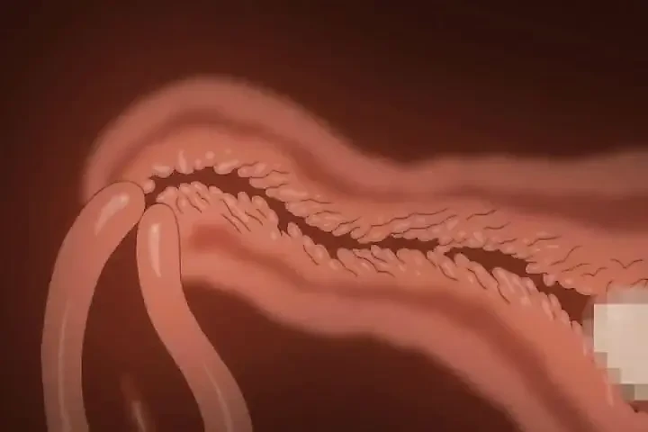 Teacher fuck 18 year old college girl , Hajimete no Hitozuma Episode 4