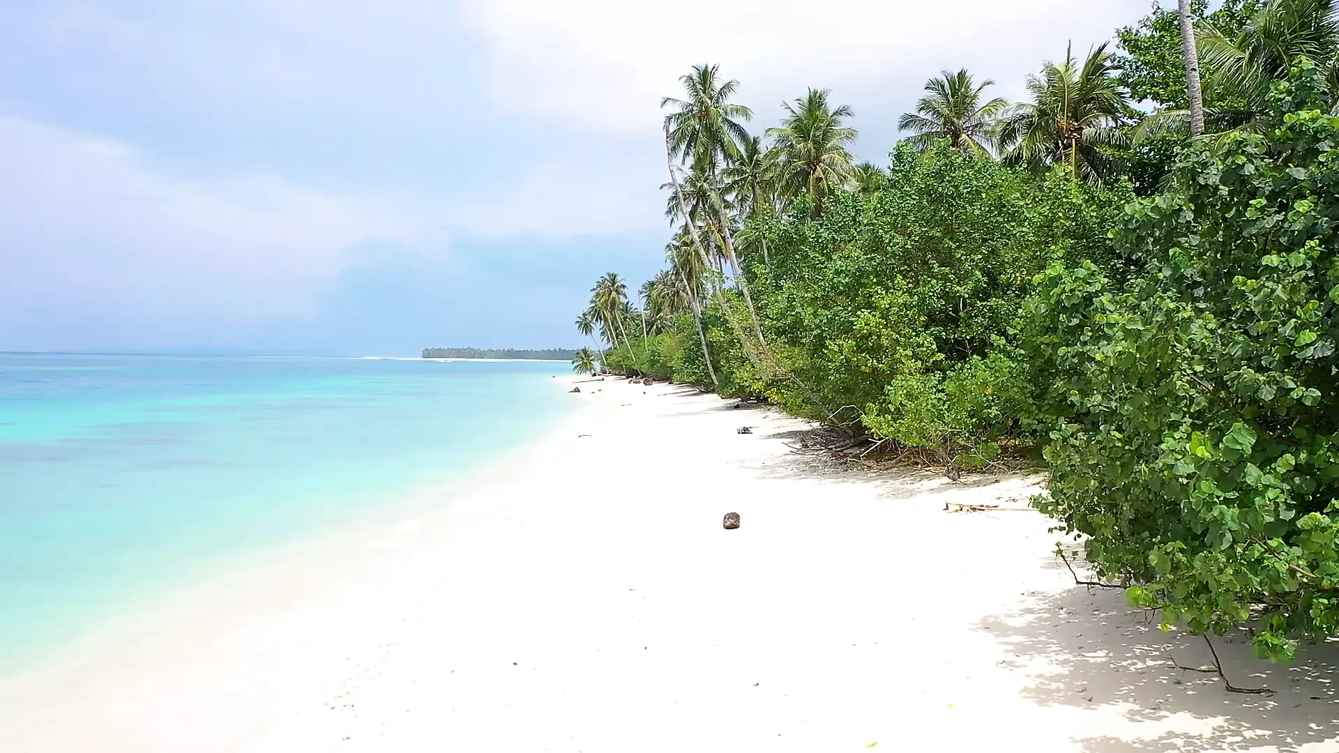 Indonesian babe ‘putri Cinta’ in ‘In The Tropics’ film