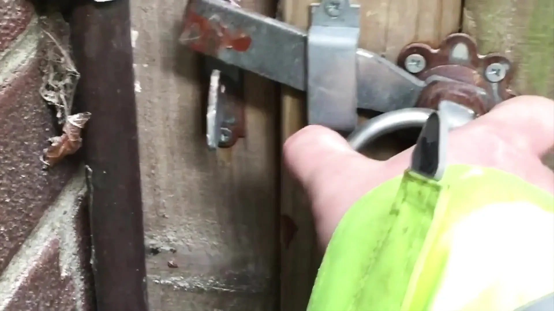 Through the Windows and Got Lucky