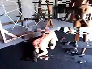 careena collins white slave